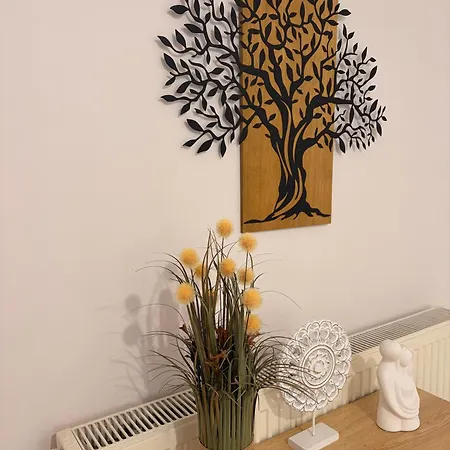 Apartment Summer Comfort *
